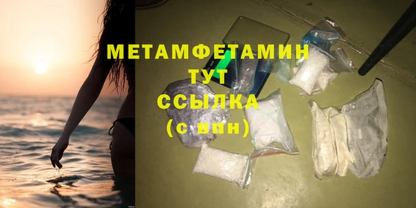 прущие грибы Тихвин