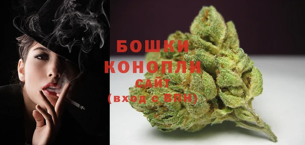 прущие грибы Тихвин