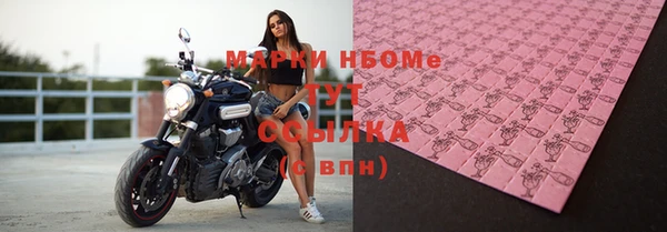 прущие грибы Тихвин