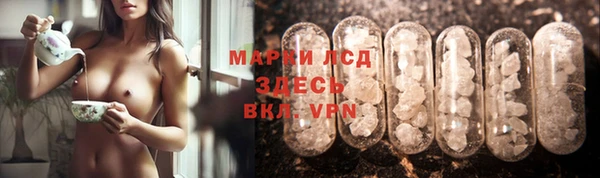 прущие грибы Тихвин