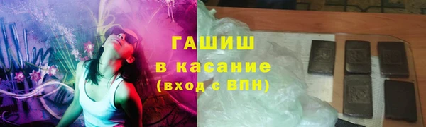 прущие грибы Тихвин