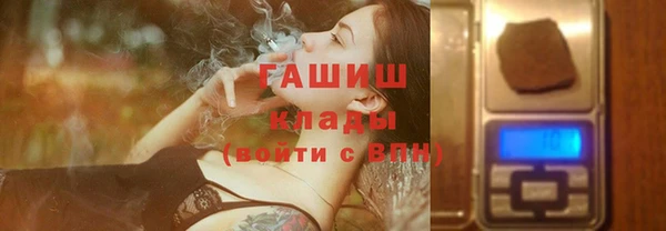 прущие грибы Тихвин