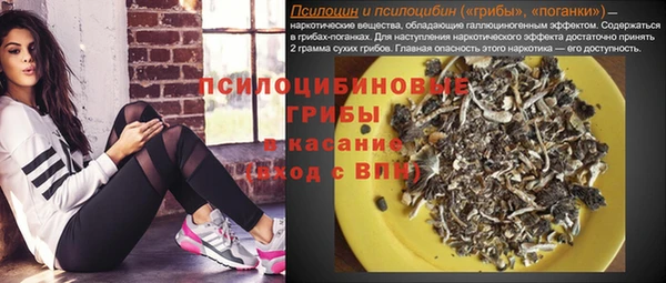 прущие грибы Тихвин