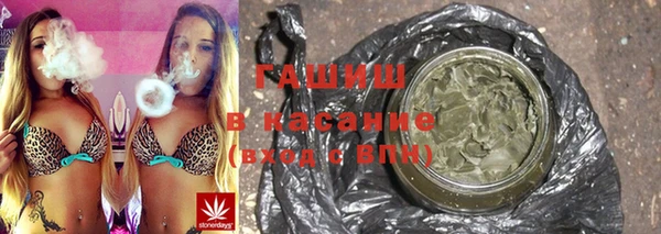 прущие грибы Тихвин