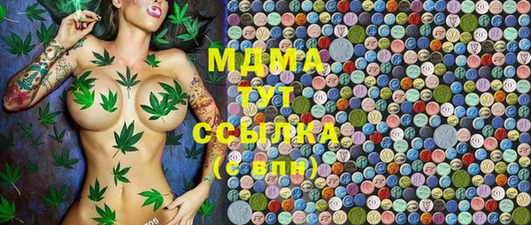 прущие грибы Тихвин