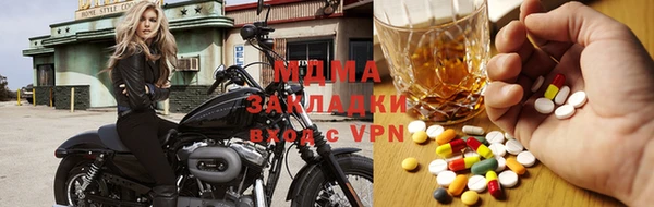 прущие грибы Тихвин