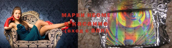 прущие грибы Тихвин